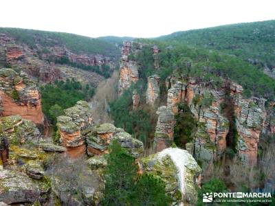 Hoces y cañones del Río Piedra y del Río Gallo -- Laguna Gallocanta - Rutas Senderismo;zapatillas